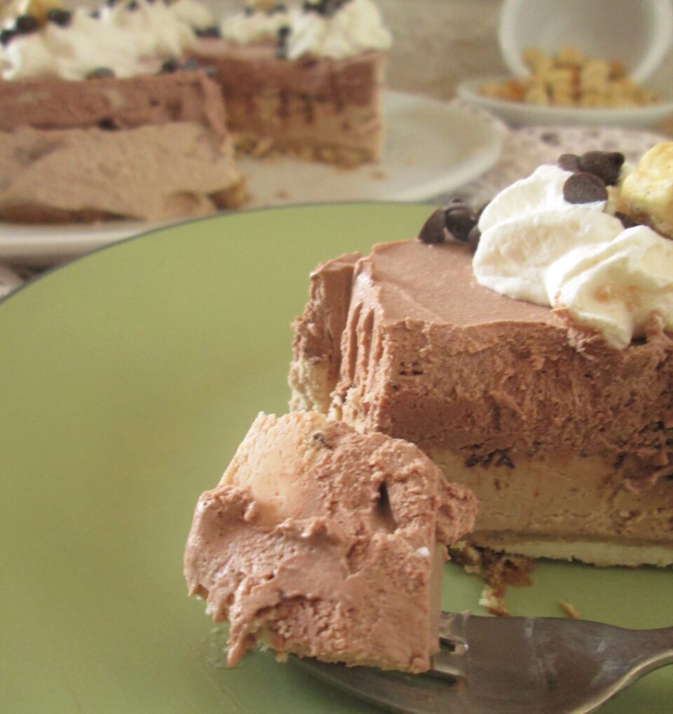 Torta gelato nocciola e cacao
