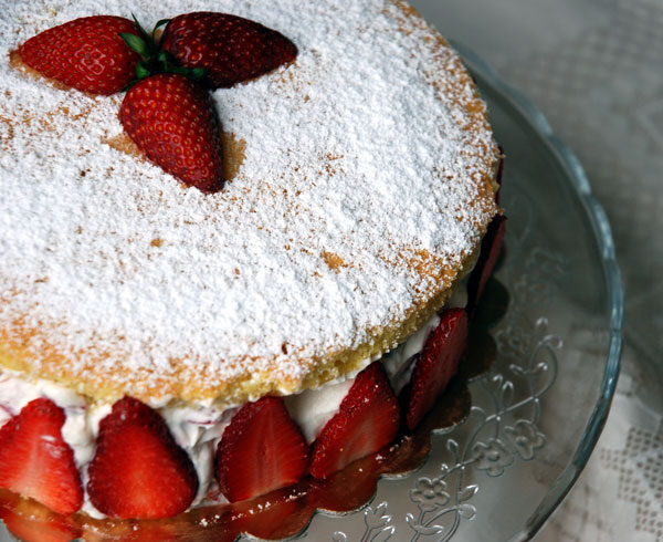 Torta genoise alle fragole