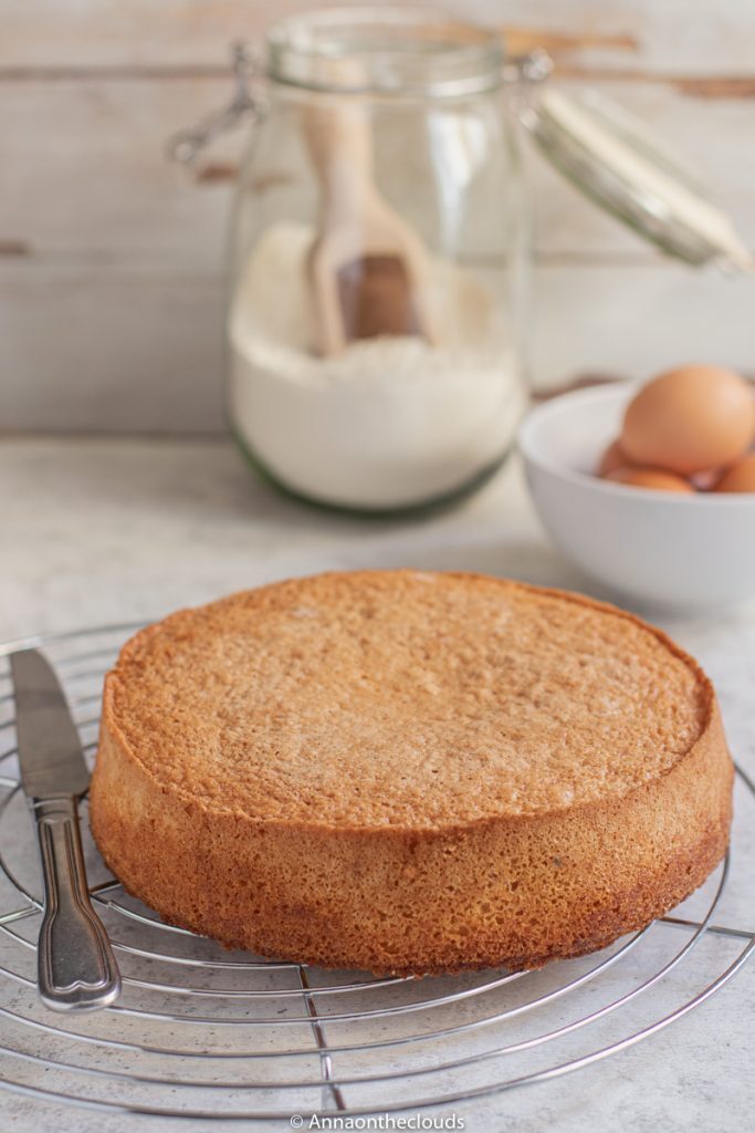 Torta genovese: ricetta base per torte
