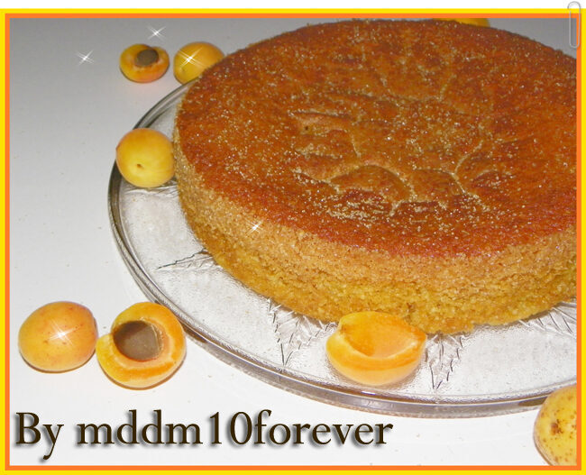 Torta morbida con albicocche e mandorle