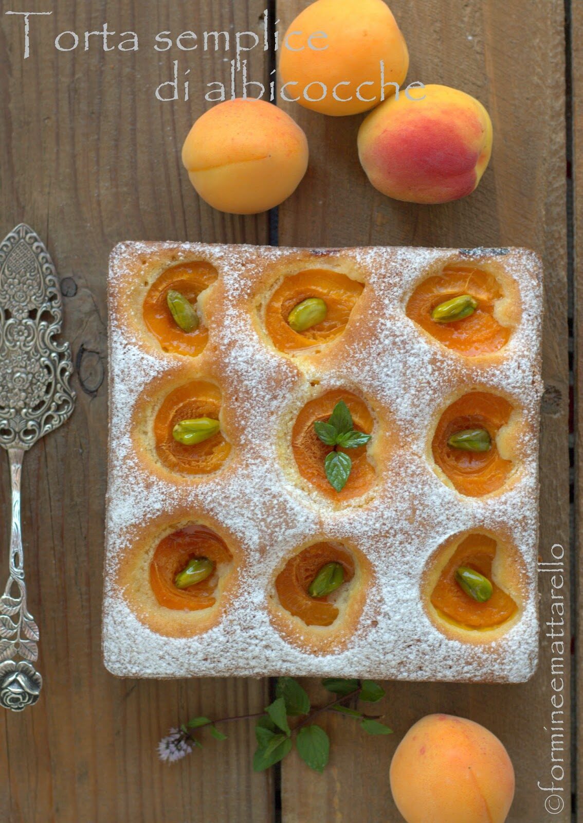 Torta semplice di albicocche e la “Marmor & Marillen”