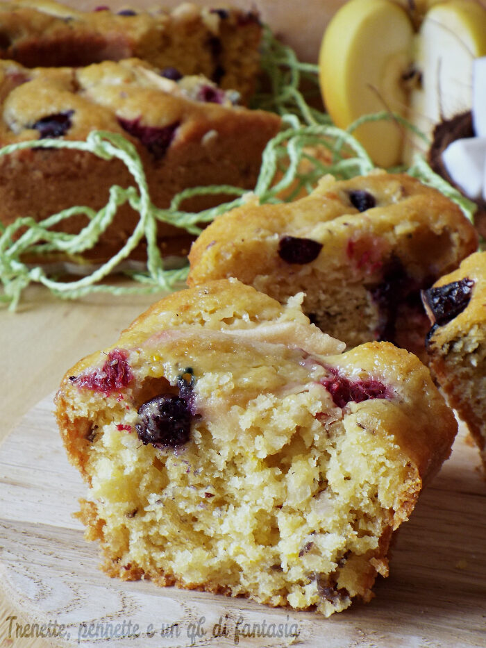 Torta soffice di mele, cocco e frutti rossi