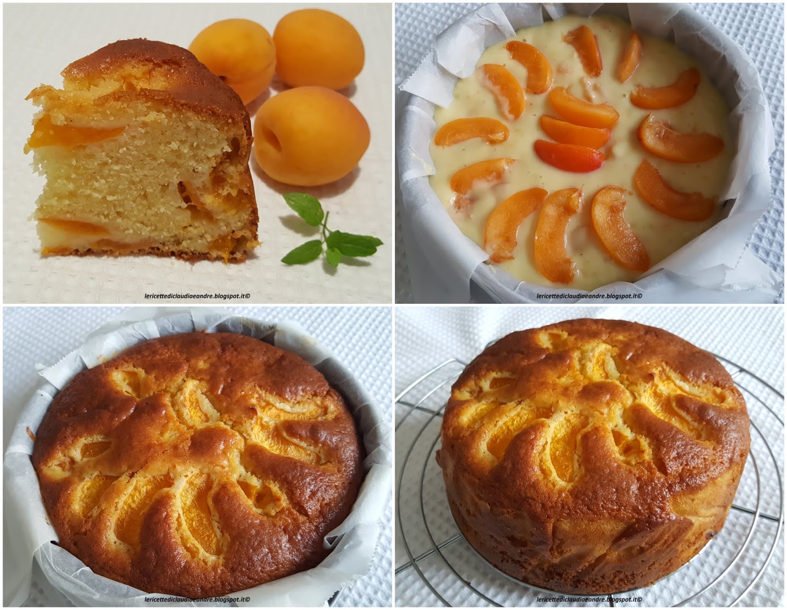 Torta veloce con albicocche, all'olio