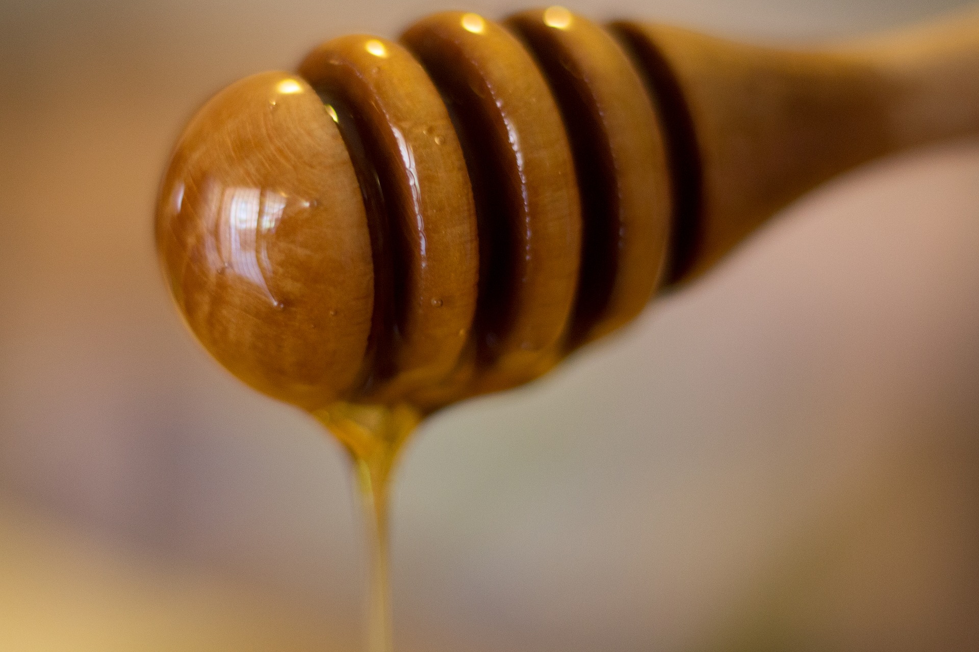 Usare il miele come sostituito dello zucchero nei dolci
