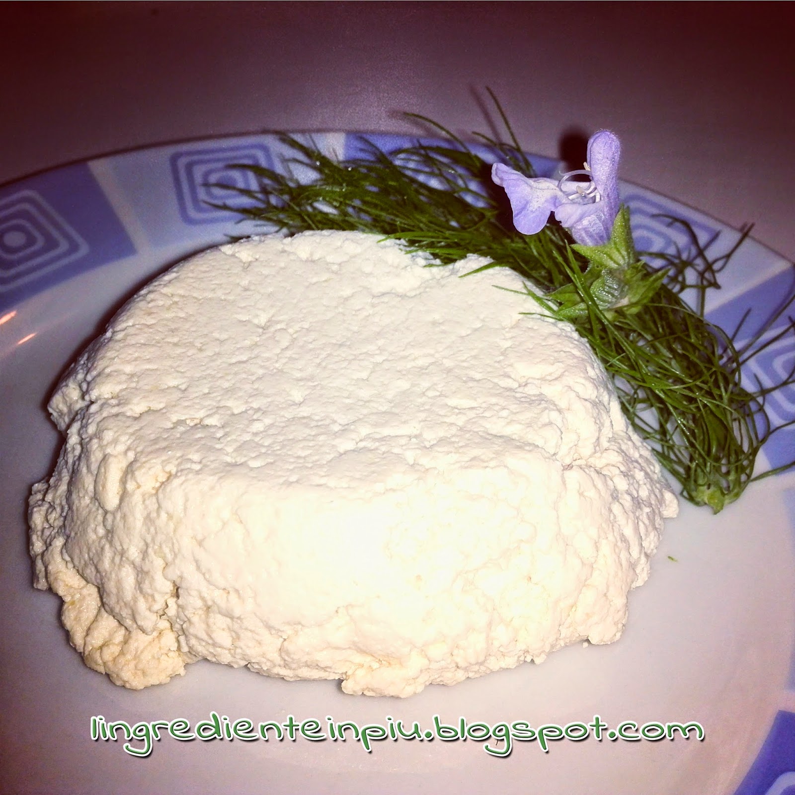 Veg-ricotta “corposa”