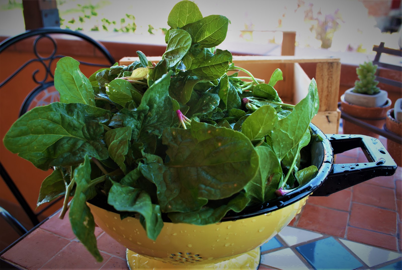 VELLUTATA DI SPINACI DELL'ORTO