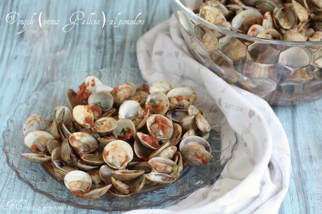 Vongole (venus gallina) al pomodoro