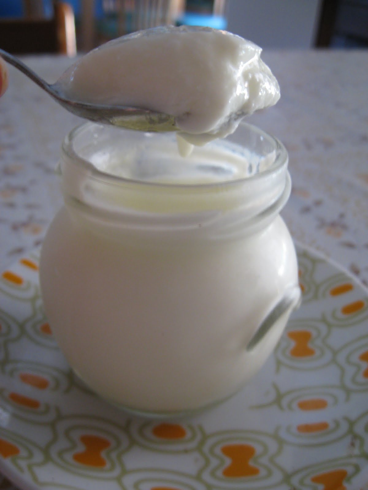 Yogurt bianco dolce home made