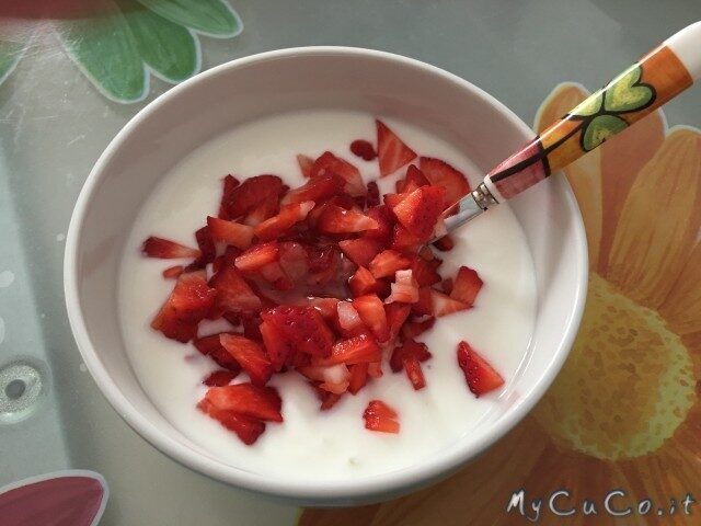 Yogurt e formaggio spalmabile con il cuisine e i-companion moulinex