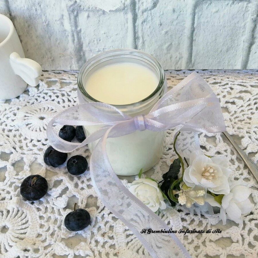 Yogurt fatto in casa senza fermenti