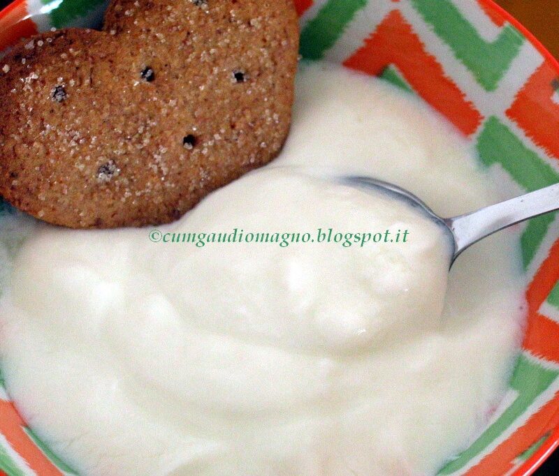 Yogurt fatto in casa, senza yogurtiera e senza tecnologia!