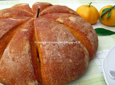 Zucca di pandizucca… ai semi di zucca!
