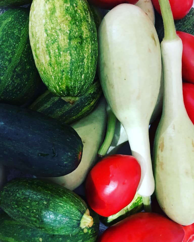 Zucchine e yogurt