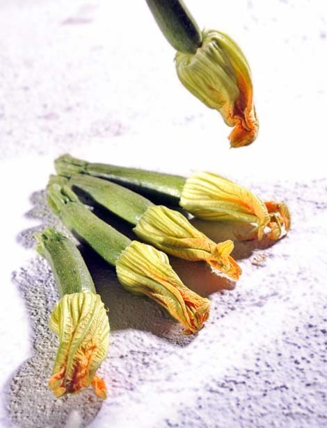 Zucchine