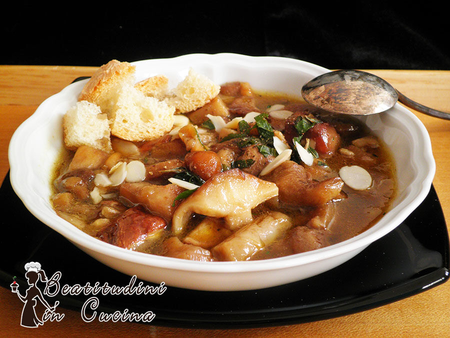 Zuppa di funghi misti