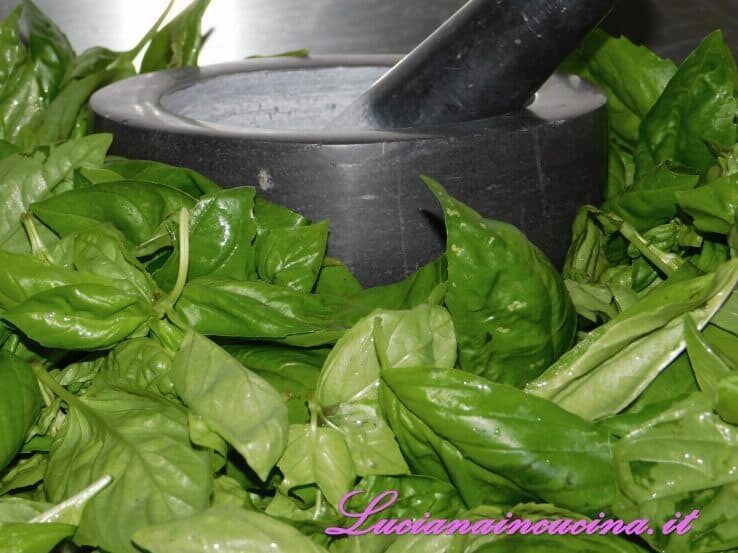 Basilico sott’olio