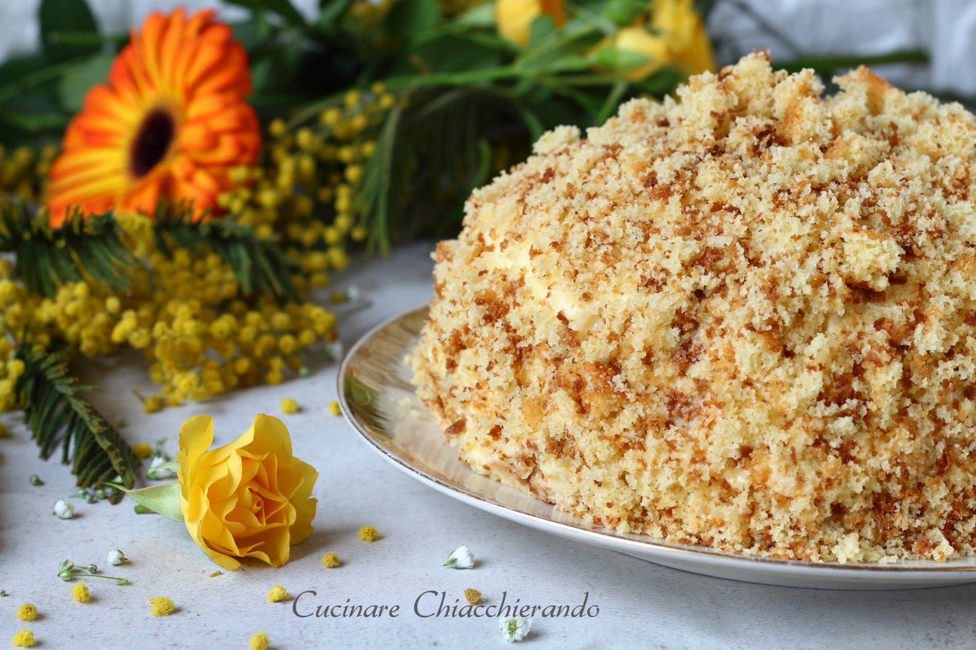 Batuffolo di mimosa