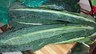 Cavolo nero