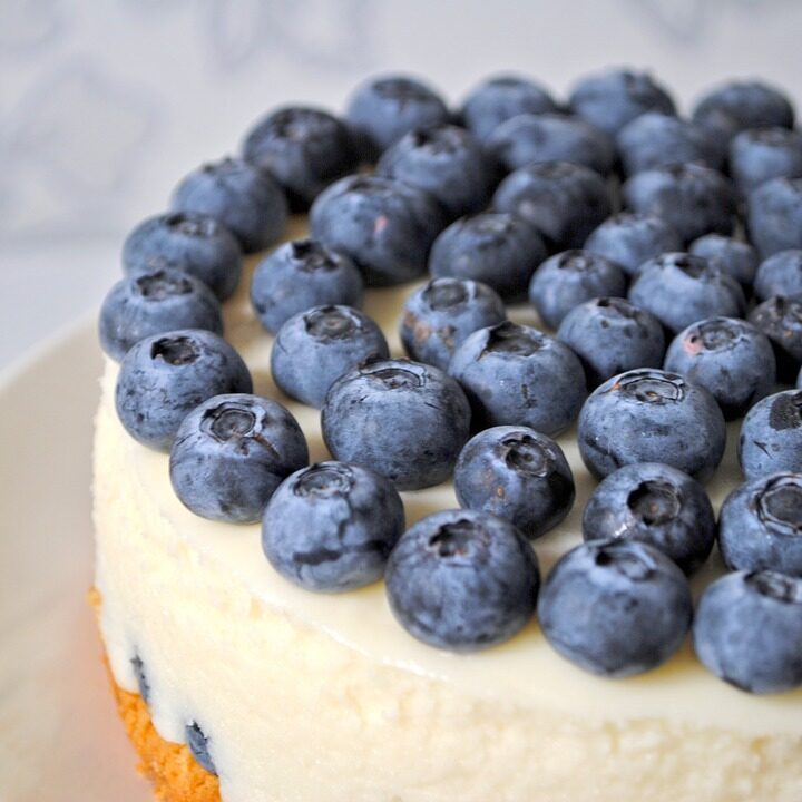 Cheesecake ai mirtilli