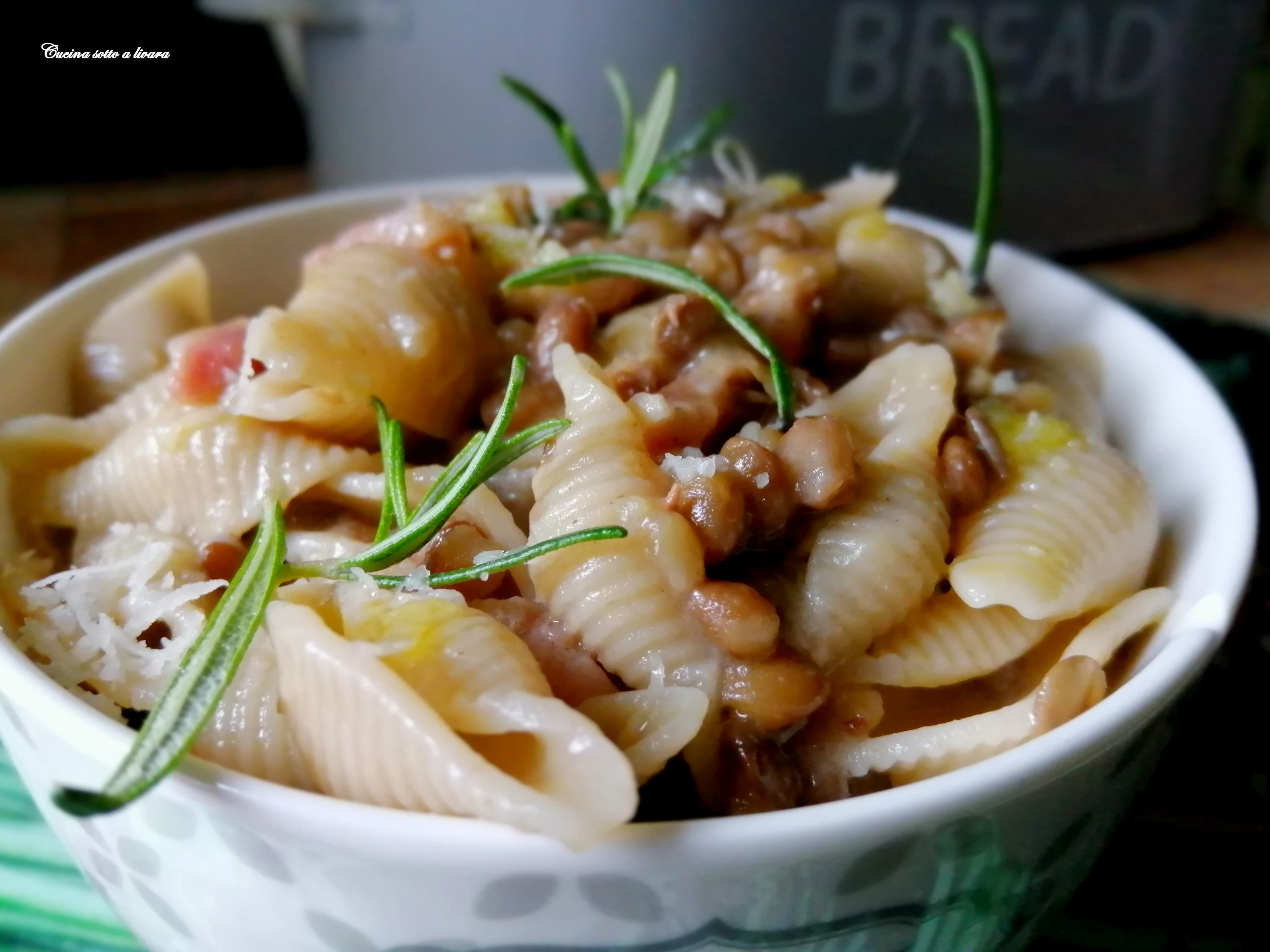 Conchiglie di grano duro cappelli con lenticchie , guancia e rosmarino