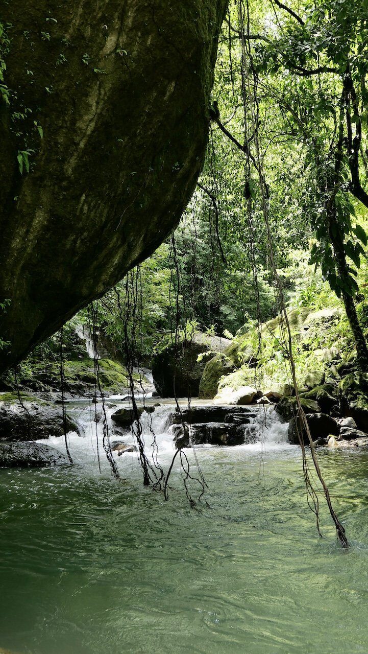 Costa rica: vegan travel guide