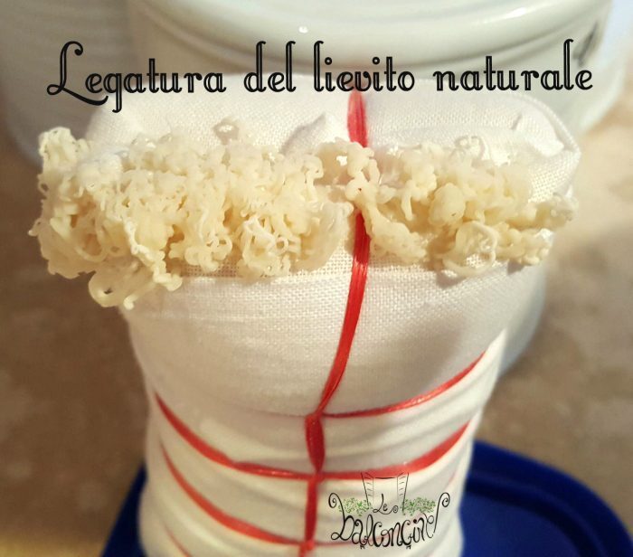 Crackers fatti in casa e legatura lievito madre