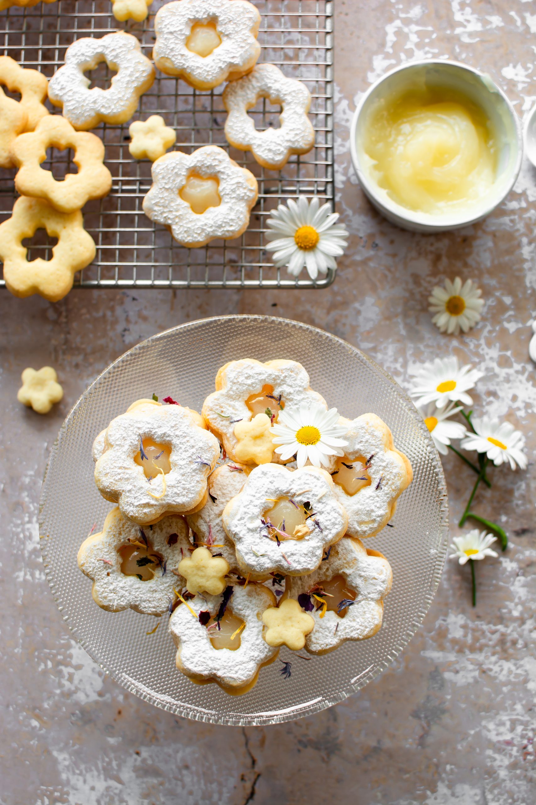 Fiori ovis mollis con crema al limone