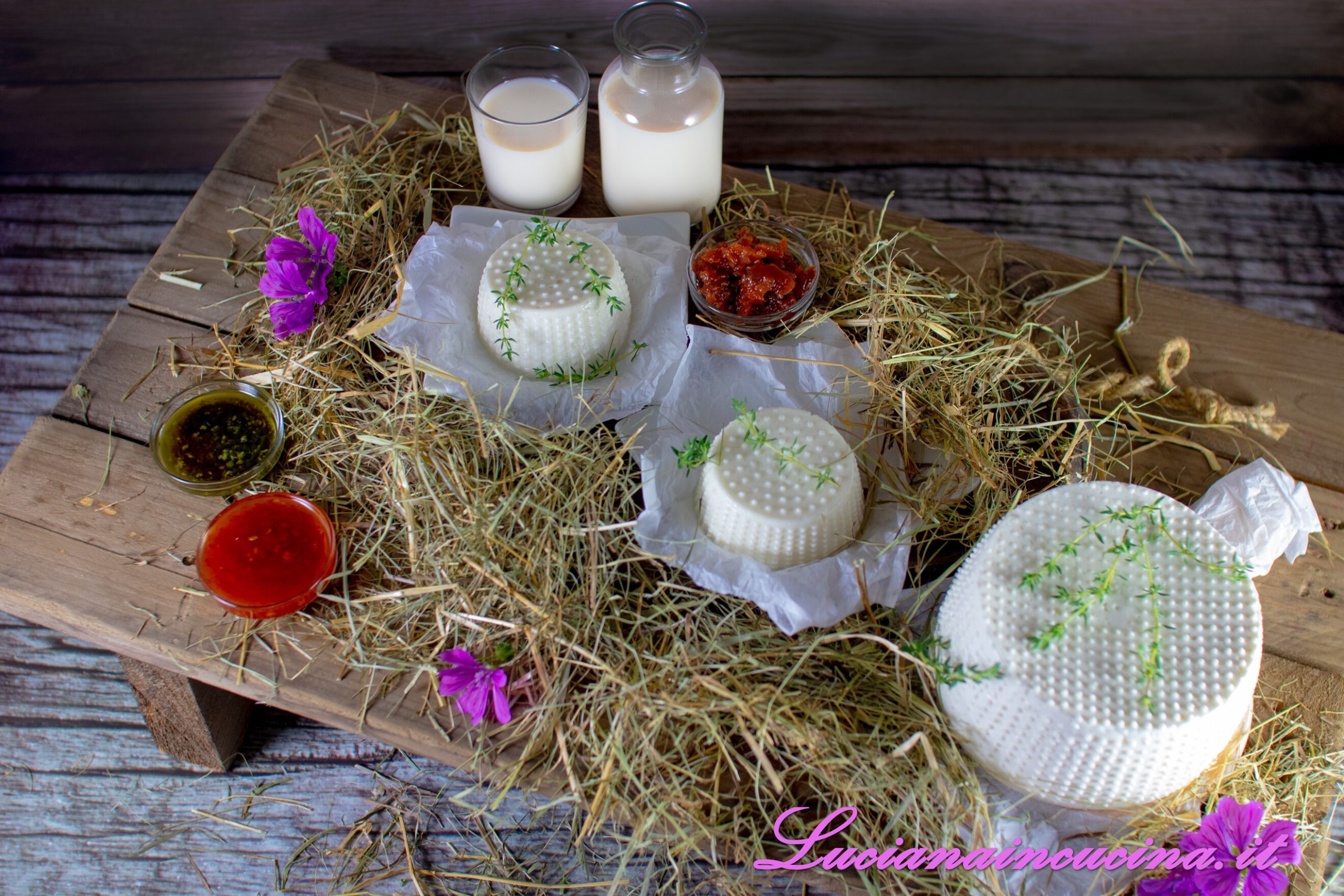 Formaggio di capra fatto in casa