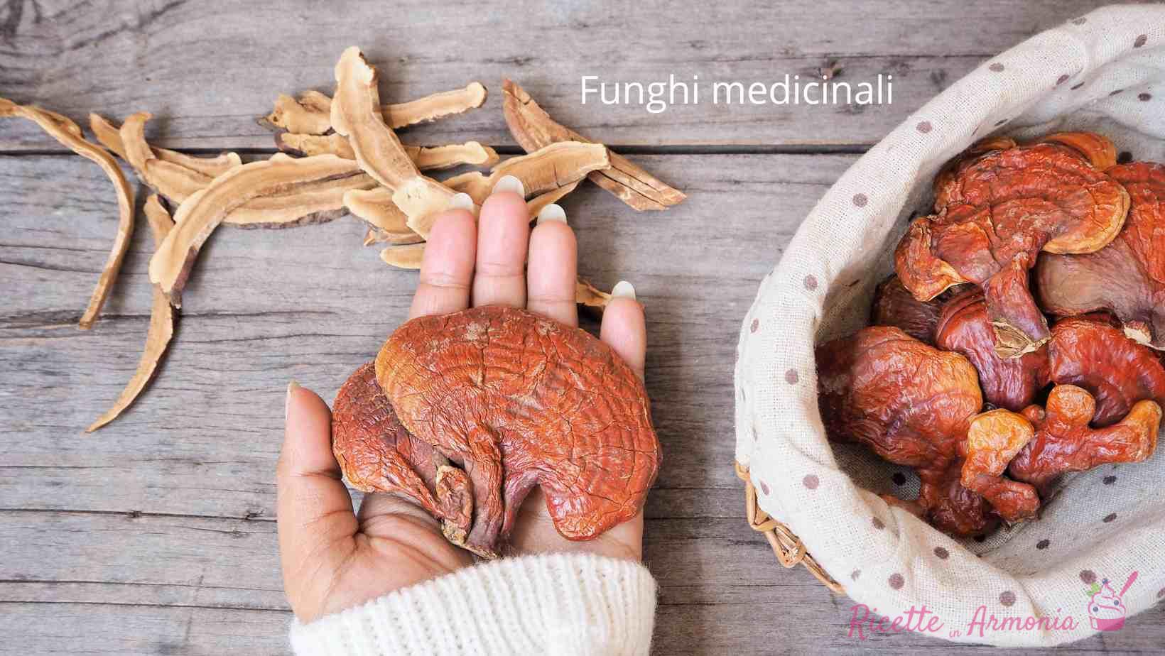 Funghi Medicina in Cucina