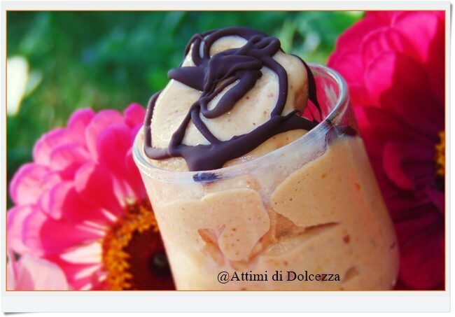 Gelato all’albicocca e amaretti