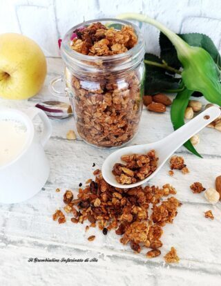 Granola homemade alla mela