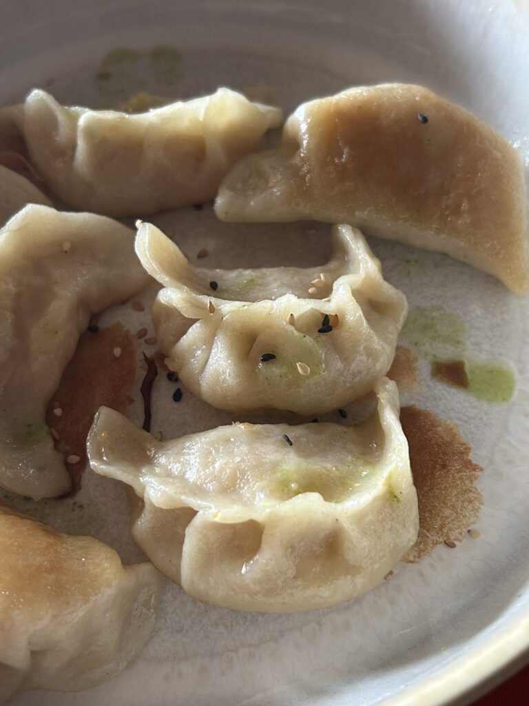 Gyoza vegetariani e i miei corsi di cucina…