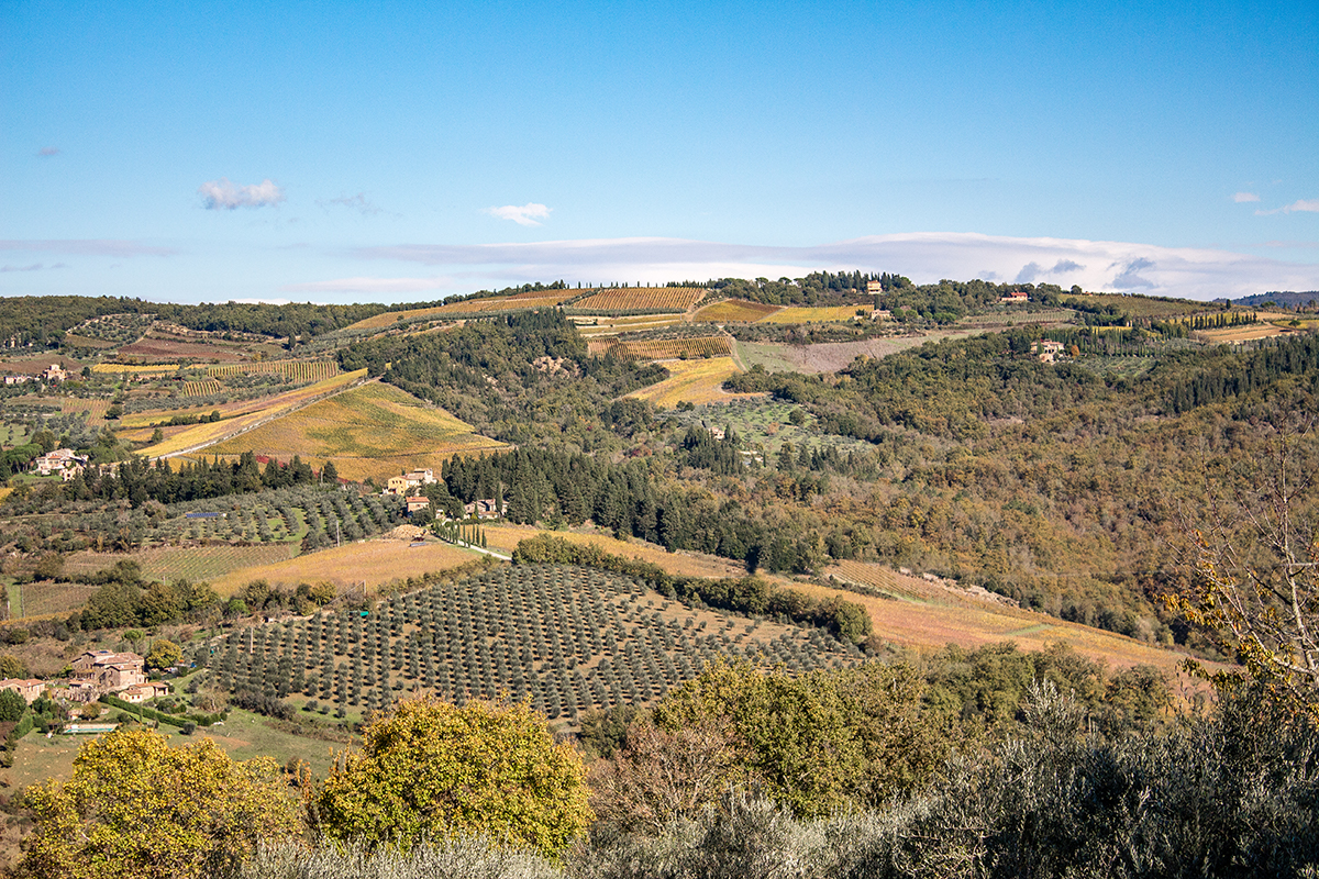 Il chianti classico, storia e sapori di un territorio