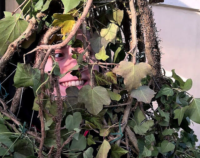 Il fruscìo del carnevale