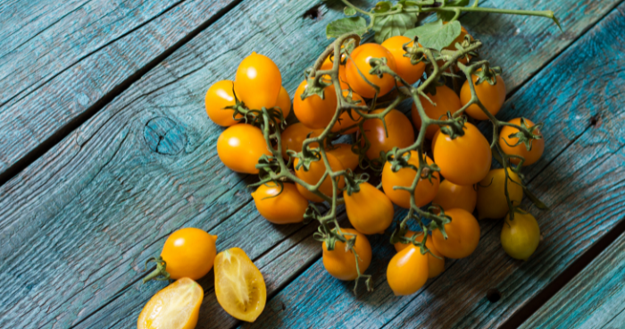 Il piennolo del vesuvio: 5 curiosità sul pomodoro vulcanico
