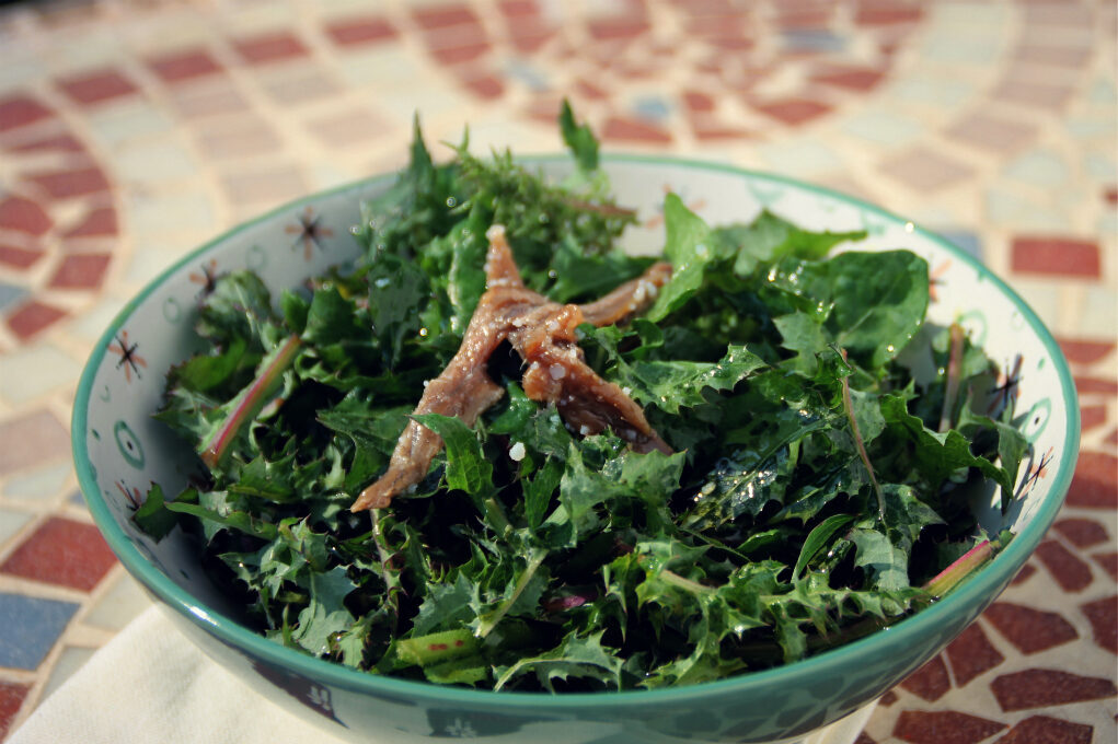 Insalata di campagna