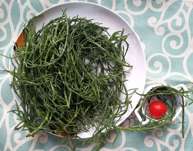 La salicornia, l’asparago del mar jonio