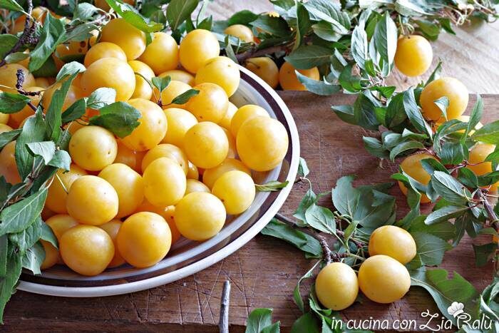 Le prugne mirabelle o regina di damasco