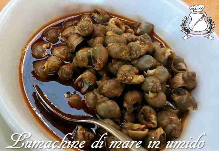 Lumachine di mare in umido