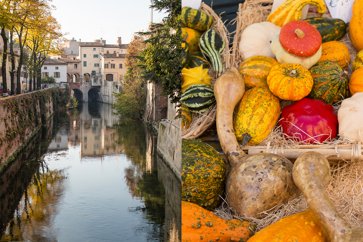 Mantova la città della cultura, delle tradizioni, e delle bellezze a cielo aperto.