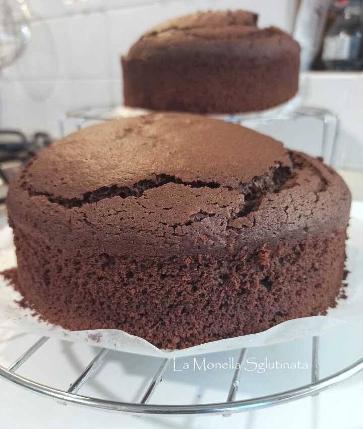 Mud cake  senza glutine