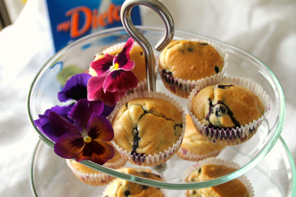 Muffin leggerissimi con mirtilli e mydietor