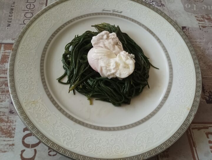 Nidi di agretti