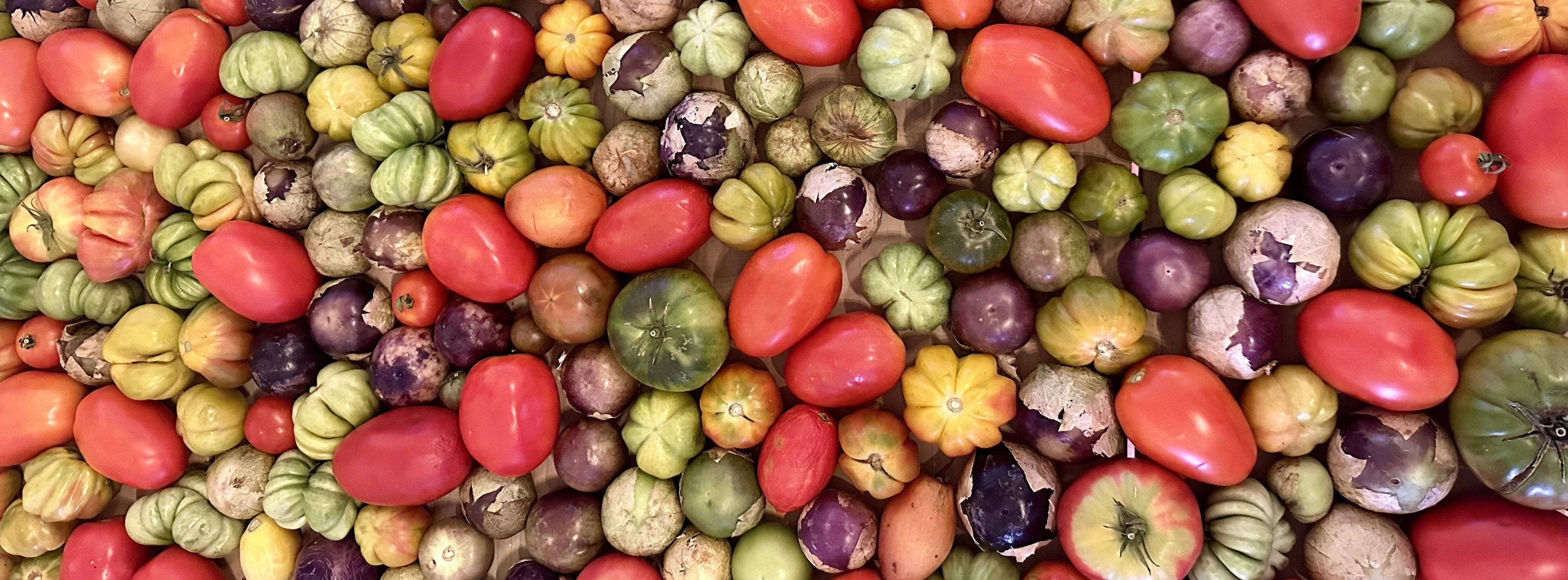 Oaxaca: guida ai ristoranti vegani ed esperienze culinarie