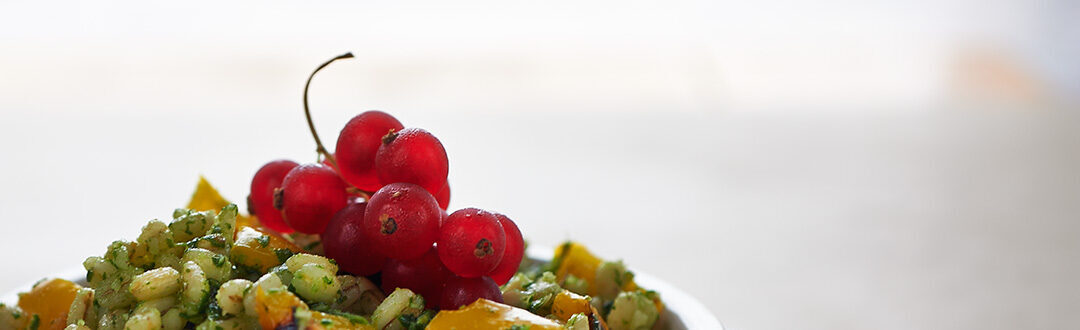 Orzo freddo con pesto di rucola e ribes