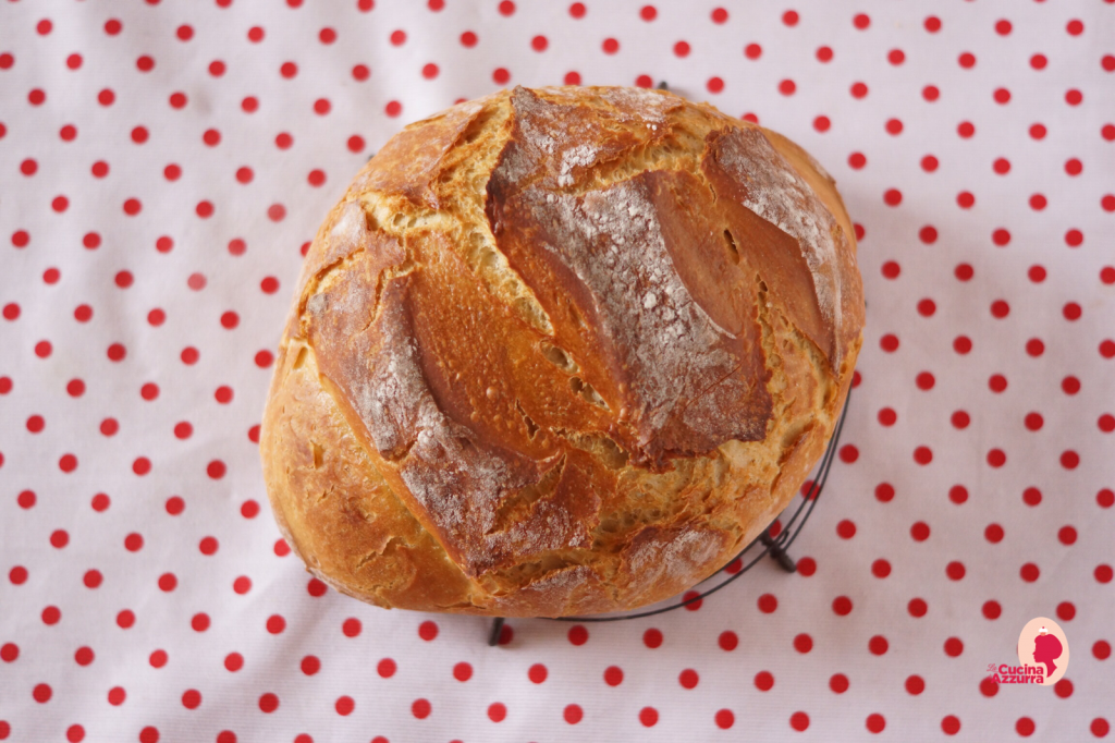 Pane all’essenza di origano con lievito madre…cotto in pentola!
