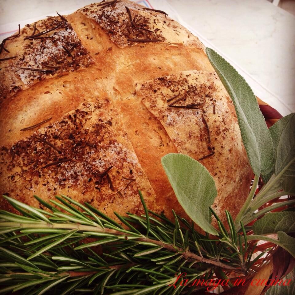 Pane aromatico