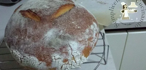 Pane di semola di grano duro con li.co.li