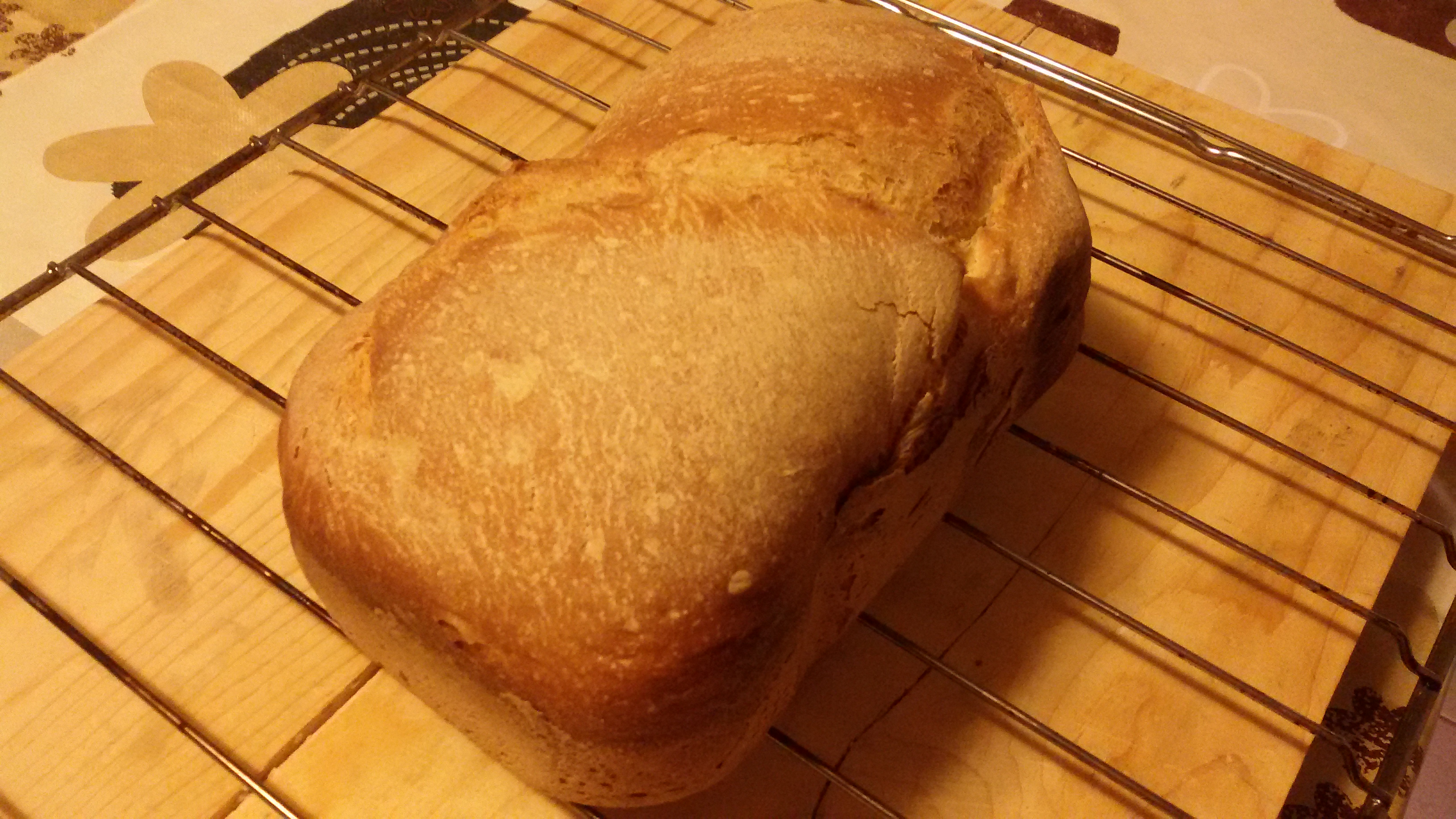 Pane di semola di grano duro nella macchina del pane