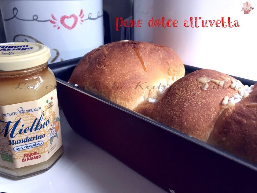Pane dolce all’uvetta mdp con miele | ricetta vegan